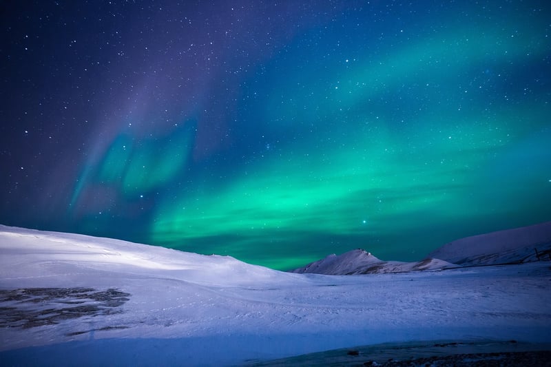 Aurora Feasts